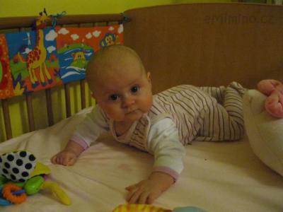 IMG_0897.jpg