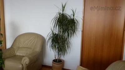 P1000157.JPG