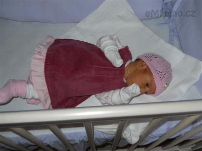 DSCN0172.JPG