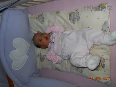 DSCN0267.JPG