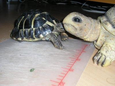 Jůlinka s kamarádkou