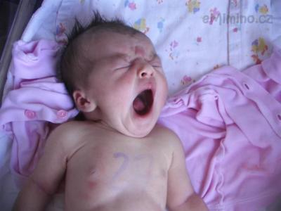 3.JPG