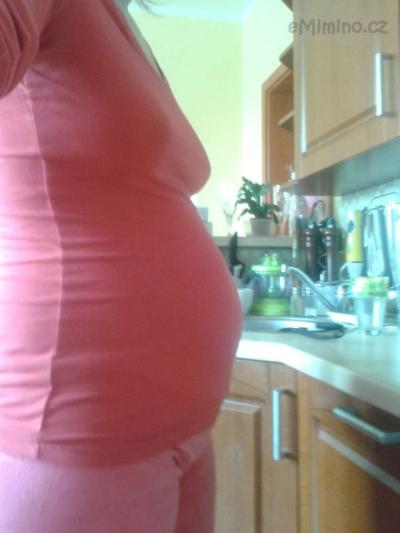 2012-01-31 10.42.22 23tt.jpg
