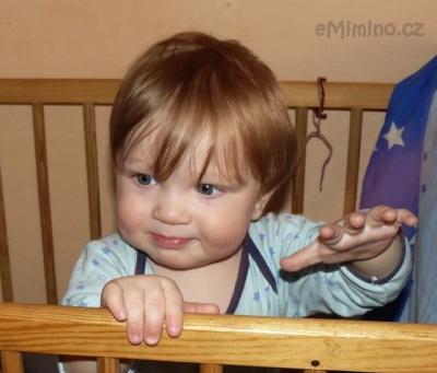 09.2.2012 adámek olomoucko 235.jpg