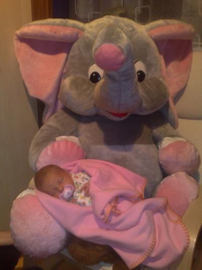 12012012216.jpg