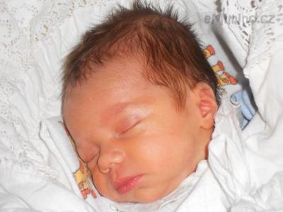 DSCN0207.jpg