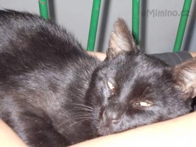 DSCN0030.JPG