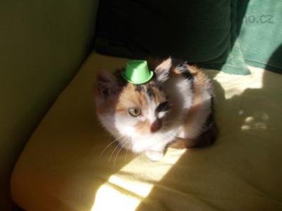 DSCN1113.JPG