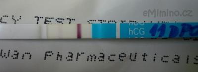 20.2.08 - 11DPO (nebo 10DPO)