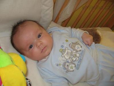 Martínek 12 neděl 21.2. 016.jpg