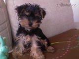 DSC00093.JPG