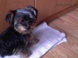 DSC00154.JPG
