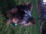 DSC00159.JPG