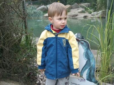 Tomík v ZOO