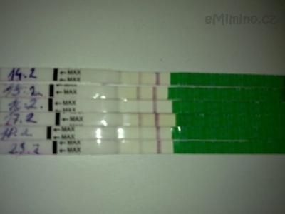 24022012887.jpg