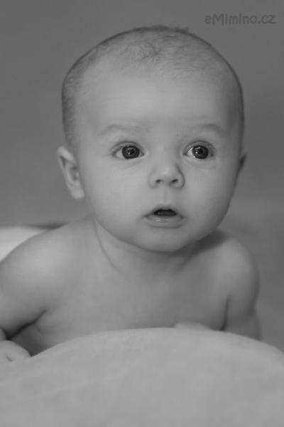 DSC_6871a_1.jpg