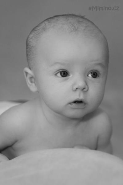 DSC_6872a_1.jpg