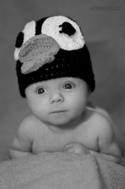 DSC_6942a_1.jpg