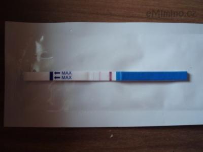 604737.jpg