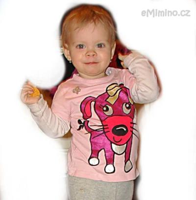 pejskové tričko.jpg