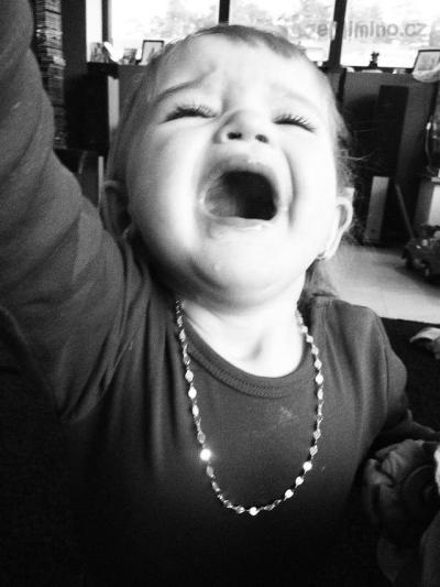 00000300.JPG