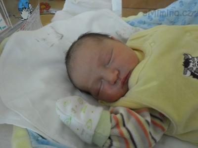 SAM_0266.JPG