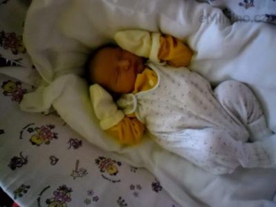 SAM_0281.JPG