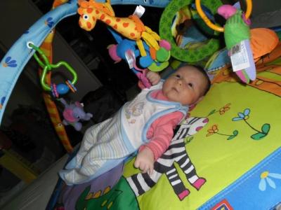 SAM_0410.JPG