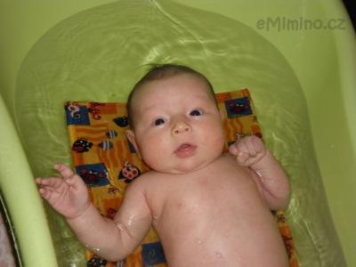 SAM_0428.JPG