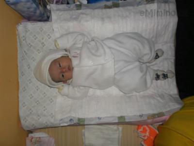 SAM_0455.JPG