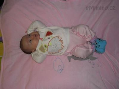 SAM_0481.JPG