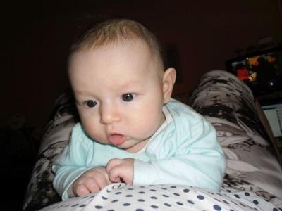 SAM_0642.JPG