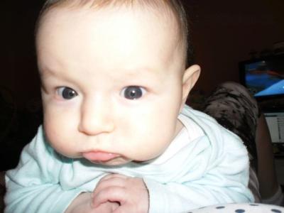 SAM_0645.JPG