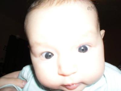 SAM_0653.JPG