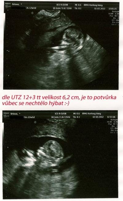 mrně 12+3.jpg