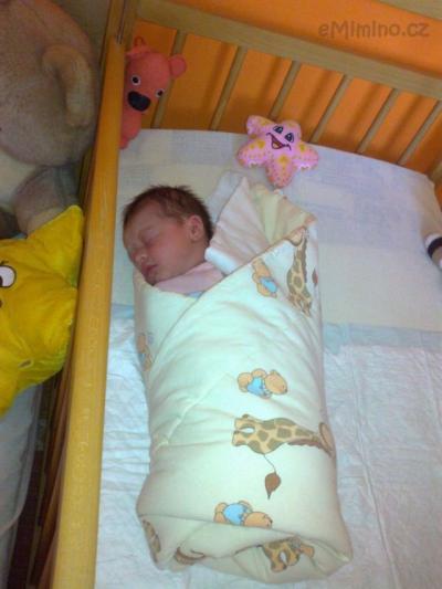 27022012178.jpg