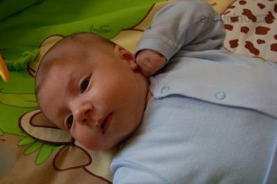 DSC_0106.JPG