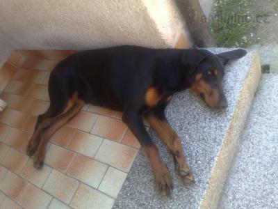 25042009499.jpg