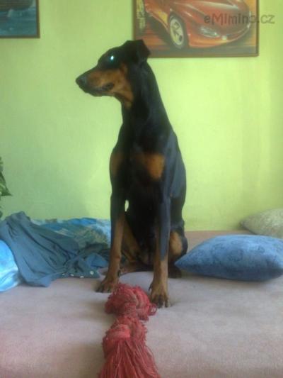 28042009528.jpg