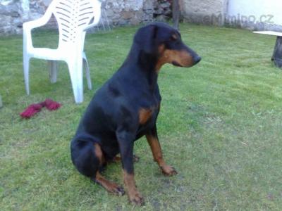 29052010919.jpg