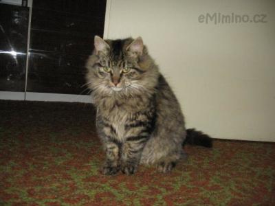 Micka