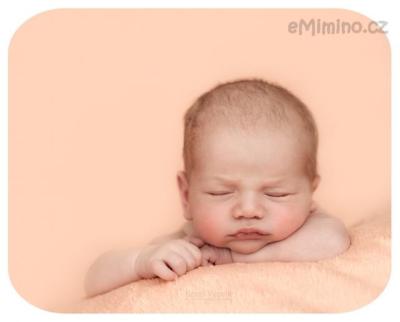 newborn photography