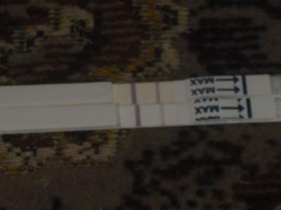 CIMG0773.JPG