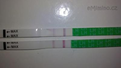 15032012503.JPG