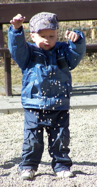 100_7041.JPG