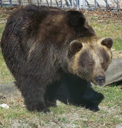 100_7952.JPG