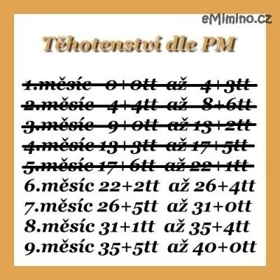 438501.jpg