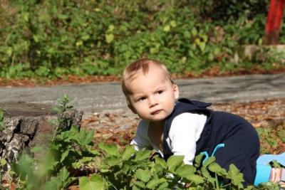 IMG_8922.JPG