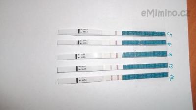 100_0705.JPG
