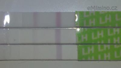 24032012548.JPG